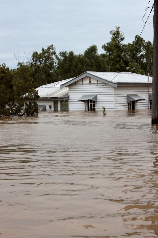Storm Damage Mitigation in Chandler, AZ